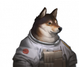 Spaceshiba 1