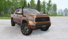 Toyota Tundra TRD Pro CrewMax 2019 5