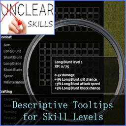 Descriptive Tooltips for Skill Levels
